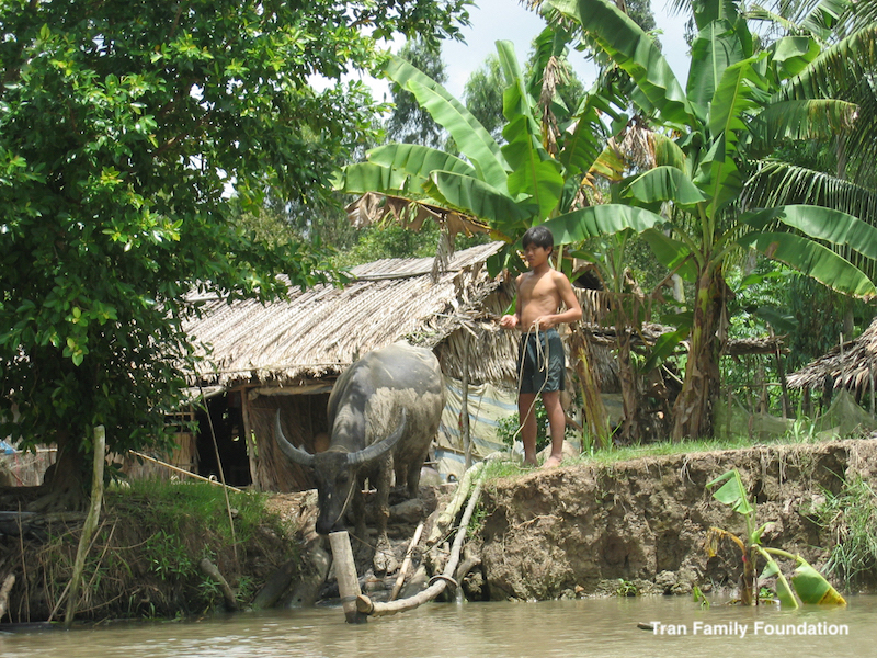 Photo of the banks of a river in rural Vietnam